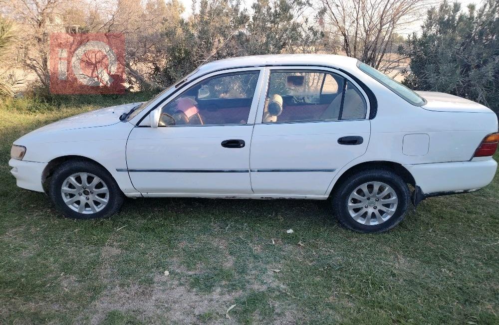 تويوتا كورولا